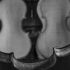 Lucca_in_bottega_Particolare-1